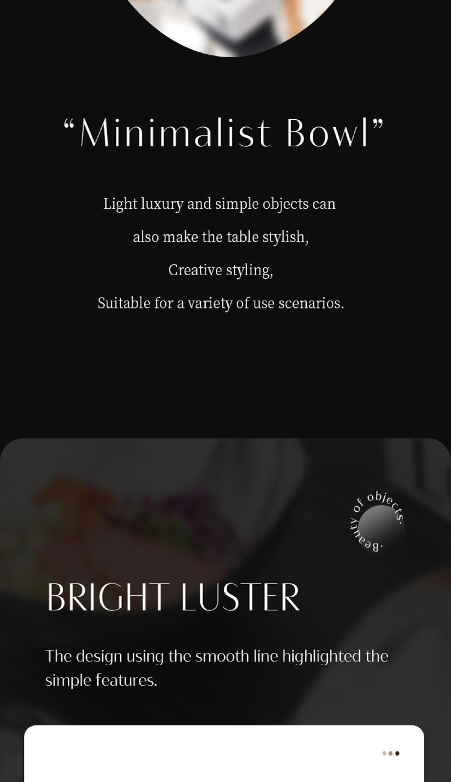Stainless Steel Special-Shaped Bowl - Mirror Polish